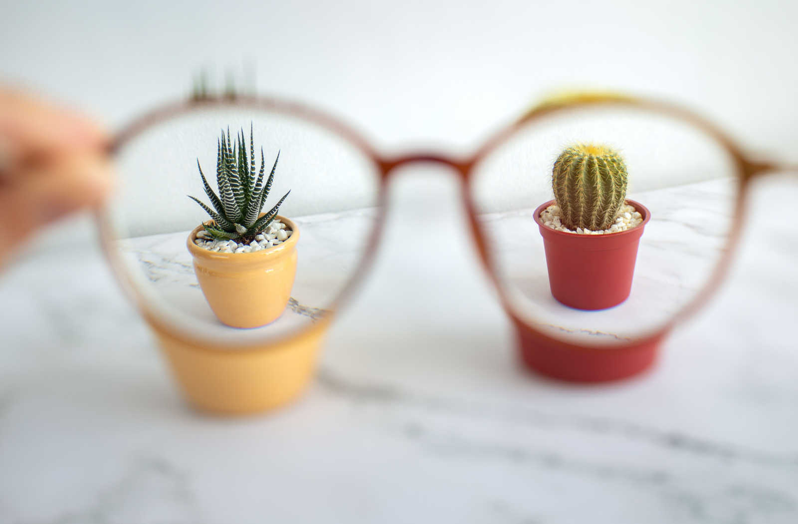 Vision through a pair of eyeglasses to show the effect of myopia and how glasses can help.