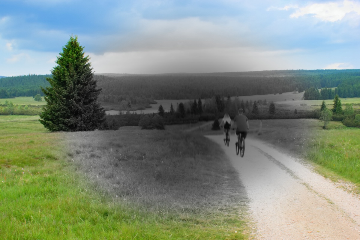 A countryside landscape split into color and grayscale, with two cyclists riding along a dirt path through a blurred, desaturated central area suggesting impaired vision.